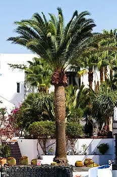 Appart hôtel Parque Tropical En Lanzarote