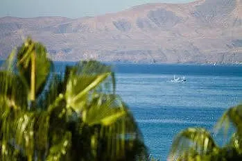 Parque Tropical En Lanzarote